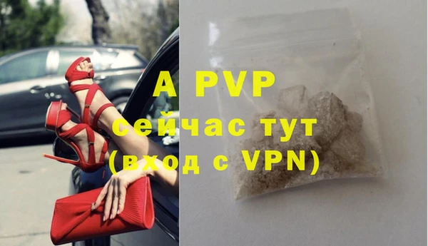 гидра Аркадак
