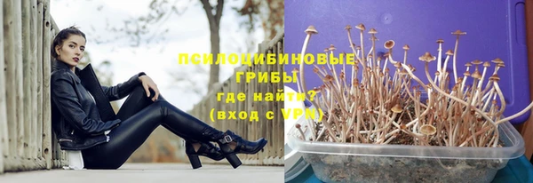 соль ск Балахна