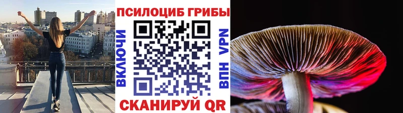 Галлюциногенные грибы Psilocybine cubensis  сколько стоит  Обоянь 